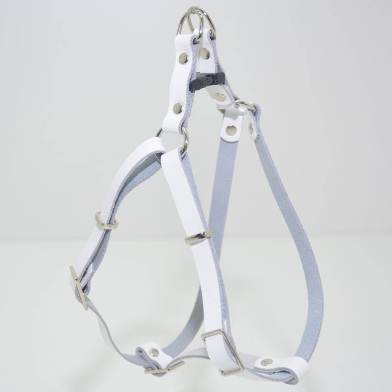 Шлея для животных Весна мини кожа белый
Шлея для животных Весна мини кожа белый