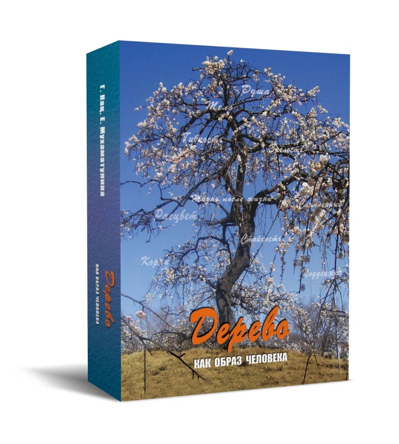 Метафорические карты "Дерево как образ человека". Мухаматулина Е.
Метафорические карты "Дерево как образ человека". Мухаматулина Е.