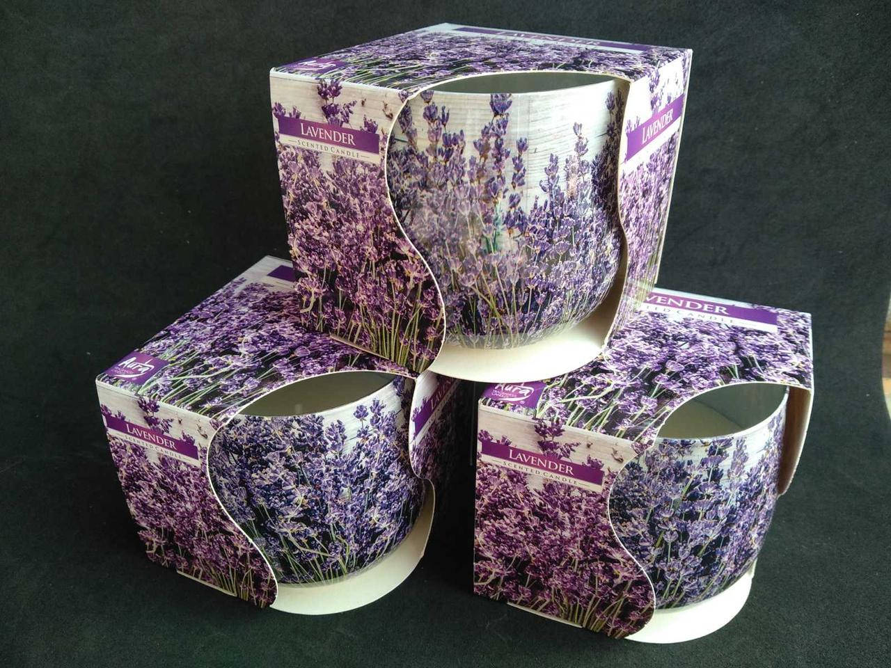 Свечи ароматизированные в стаканах Bispol Польша Лаванда, Белый
Свечи ароматизированные в стаканах Bispol Польша Лаванда, Белый