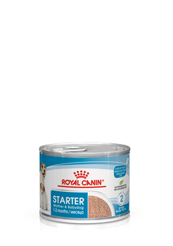 Royal Canin (Роял Канин) Starter Mousse Mother & Babydog консервы для щенков от отъема до 2 мес. (мусс) 195 г 
Royal Canin (Роял Канин) Starter Mousse Mother & Babydog консервы для щенков от отъема до 2 мес. (мусс) 195 г