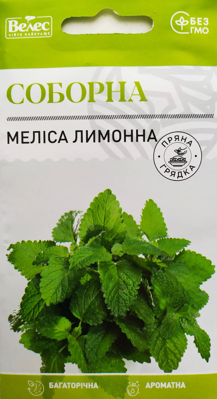 Меліса лимонна соборна 
Меліса лимонна соборна