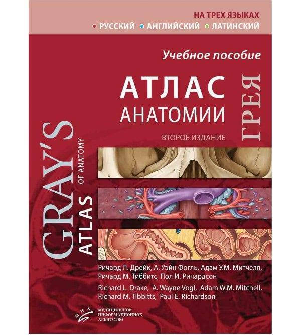 Атлас анатомии Грея 2-е издание (русский+англ+латынь) Дрейк Р.Л. Фогль А.У. Митчелл А.У.М.
Атлас анатомии Грея 2-е издание (русский+англ+латынь) Дрейк Р.Л. Фогль А.У. Митчелл А.У.М.