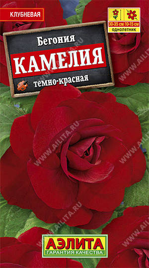 Семена Бегония крупноцветковая махровая Камелия Темно-красная 10 семян Аэлита, Красный
Семена Бегония крупноцветковая махровая Камелия Темно-красная 10 семян Аэлита, Красный