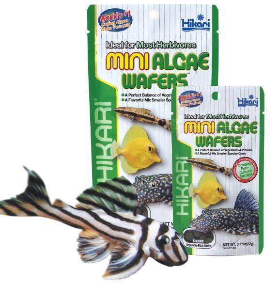 Корм для сомиков и других придонных рыб в мини дисках Hikari Tropical Mini Algae Wafers
Корм для сомиков и других придонных рыб в мини дисках Hikari Tropical Mini Algae Wafers