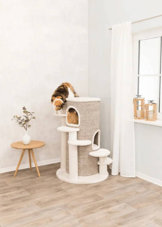 Когтеточка,дряпка Trixie TX-44931 Oskar XXL для пожилых кошек и с проблемами суставов
Когтеточка,дряпка Trixie TX-44931 Oskar XXL для пожилых кошек и с проблемами суставов