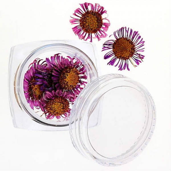 Сухоцветы №32, Сиреневый
Сухоцветы №32, Сиреневый