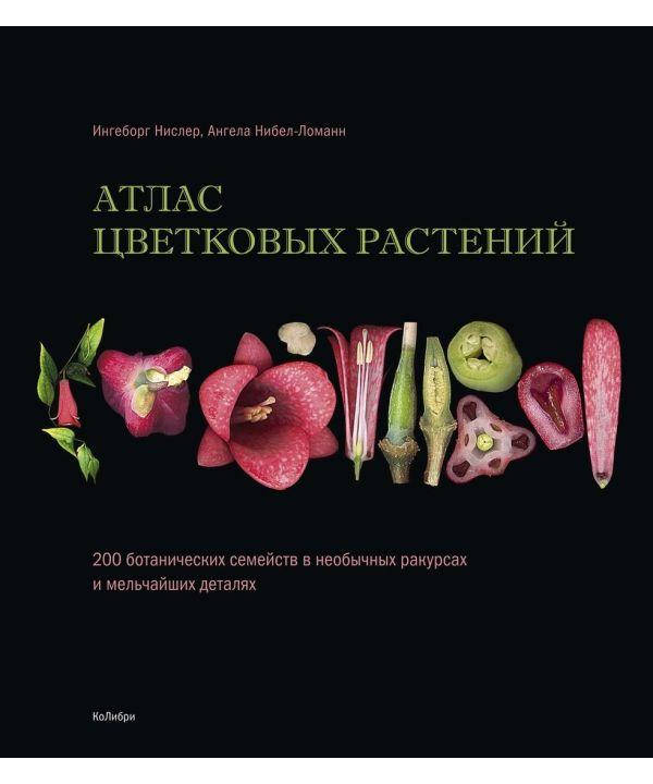 Книга Атлас цветковых растений. 200 ботанических семейств. Авторы - Нислер Ингеборг, А.Нибел-Ломанн
Книга Атлас цветковых растений. 200 ботанических семейств. Авторы - Нислер Ингеборг, А.Нибел-Ломанн
