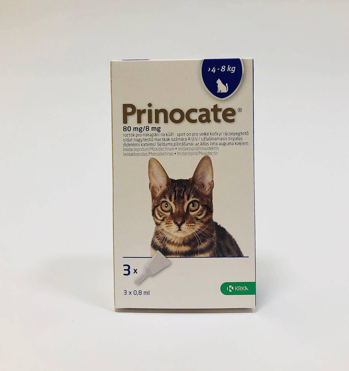 Принокат (Prinocate) капли от блох, клещей и глистов Cпот-он для кошек 4 - 8 кг 1 пипетка
Принокат (Prinocate) капли от блох, клещей и глистов Cпот-он для кошек 4 - 8 кг 1 пипетка