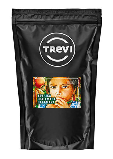 Кофе в зёрнах Trevi Арабика Гватемала Пакамара 500 г хлебно-ореховый вкус с нотами цветов и сухофруктов
Кофе в зёрнах Trevi Арабика Гватемала Пакамара 500 г хлебно-ореховый вкус с нотами цветов и сухофруктов