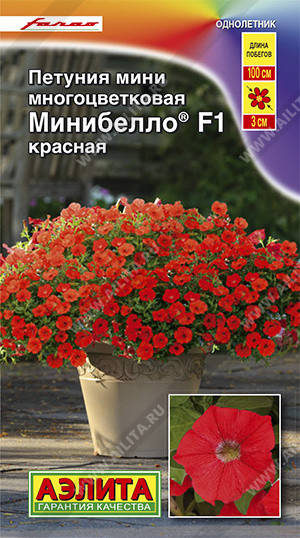 Семена Петуния многоцветковая стелющаяся каскадная Минибелло F1 красная 7 семян Аэлита, Красный
Семена Петуния многоцветковая стелющаяся каскадная Минибелло F1 красная 7 семян Аэлита, Красный