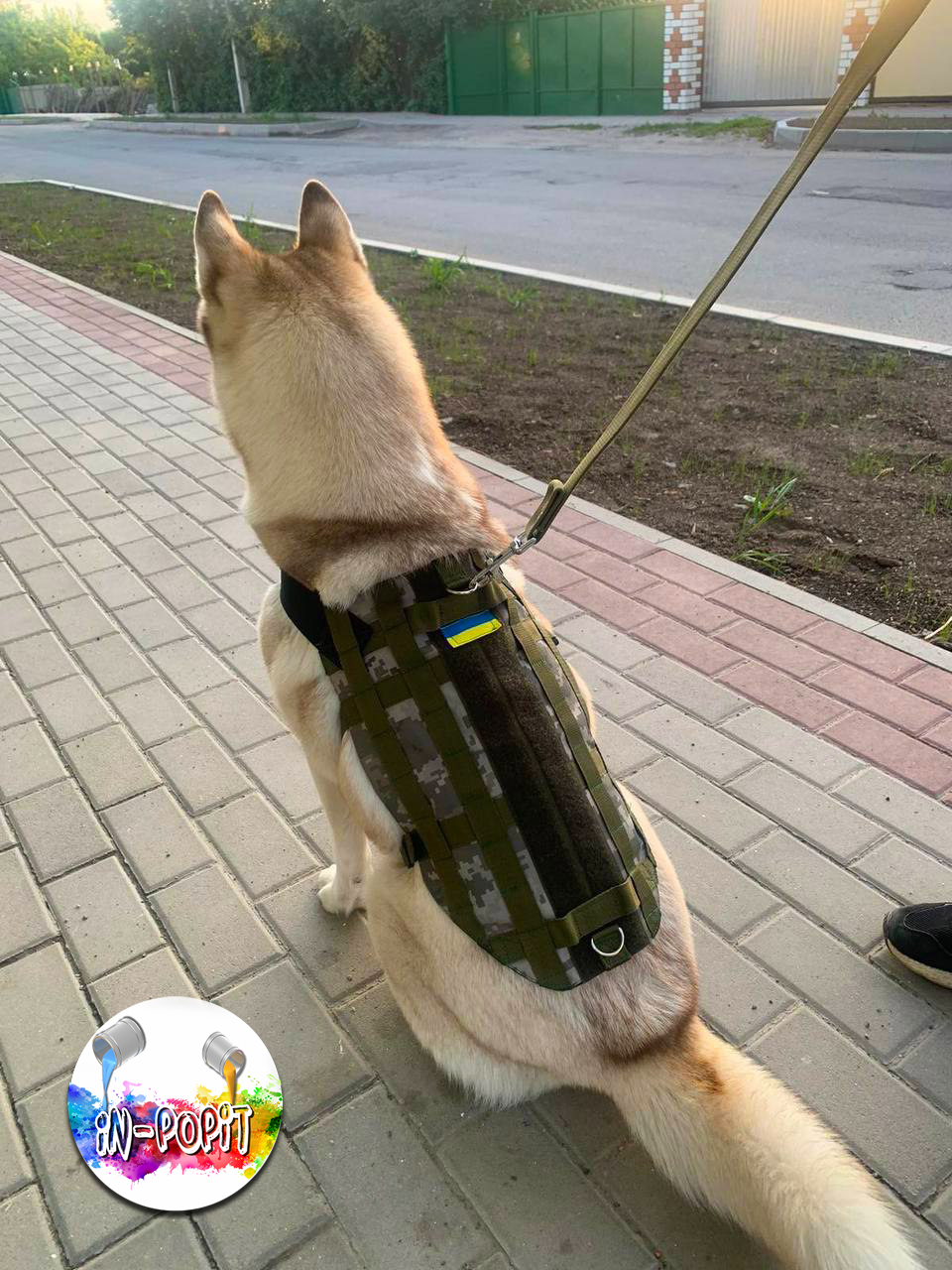 Тактический жилет с разгрузкой для собак, с системой Молле, Без сумки, камуфляж-пиксель
Тактический жилет с разгрузкой для собак, с системой Молле, Без сумки, камуфляж-пиксель