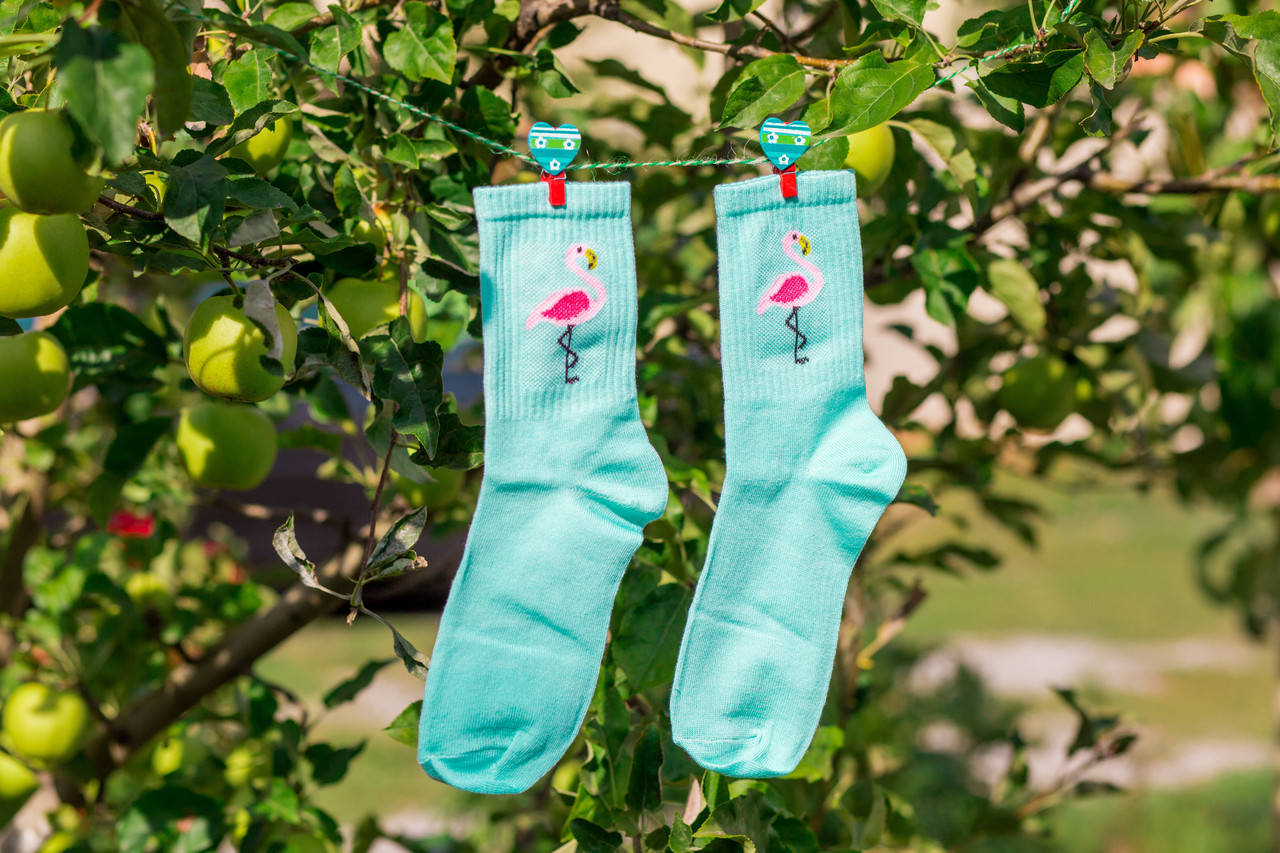 Бирюзовые котоновые носки 35-41 с рисунком ФЛАМИНГО, Бирюзовый
Бирюзовые котоновые носки 35-41 с рисунком ФЛАМИНГО, Бирюзовый