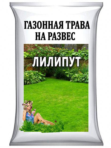 Семена Трава Газонная Лилипут Украина на развес от 1 кг, Зелёный
Семена Трава Газонная Лилипут Украина на развес от 1 кг, Зелёный