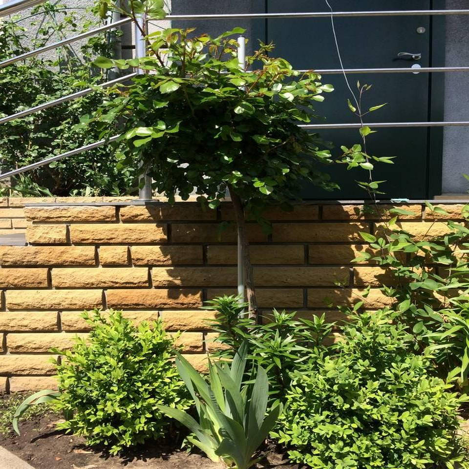 Линейная опора для растений 1500 (д20), Серебристо-серый
Линейная опора для растений 1500 (д20), Серебристо-серый