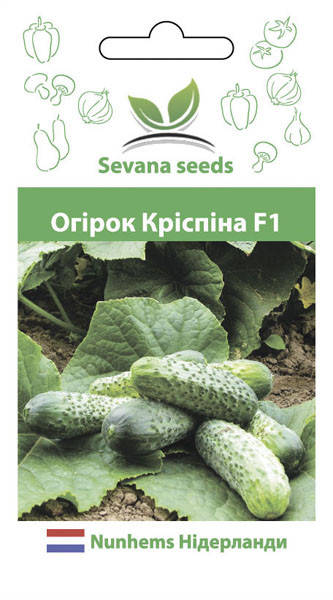Семена огурца Криспина F1 50 шт. самоопыляемый Nunhems
Семена огурца Криспина F1 50 шт. самоопыляемый Nunhems