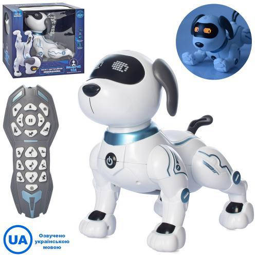 Собака RC 0004 р/у, сенсорная 28см, муз, звук,свет, танцует, выполняет команды, реагирует на руку
Собака RC 0004 р/у, сенсорная 28см, муз, звук,свет, танцует, выполняет команды, реагирует на руку