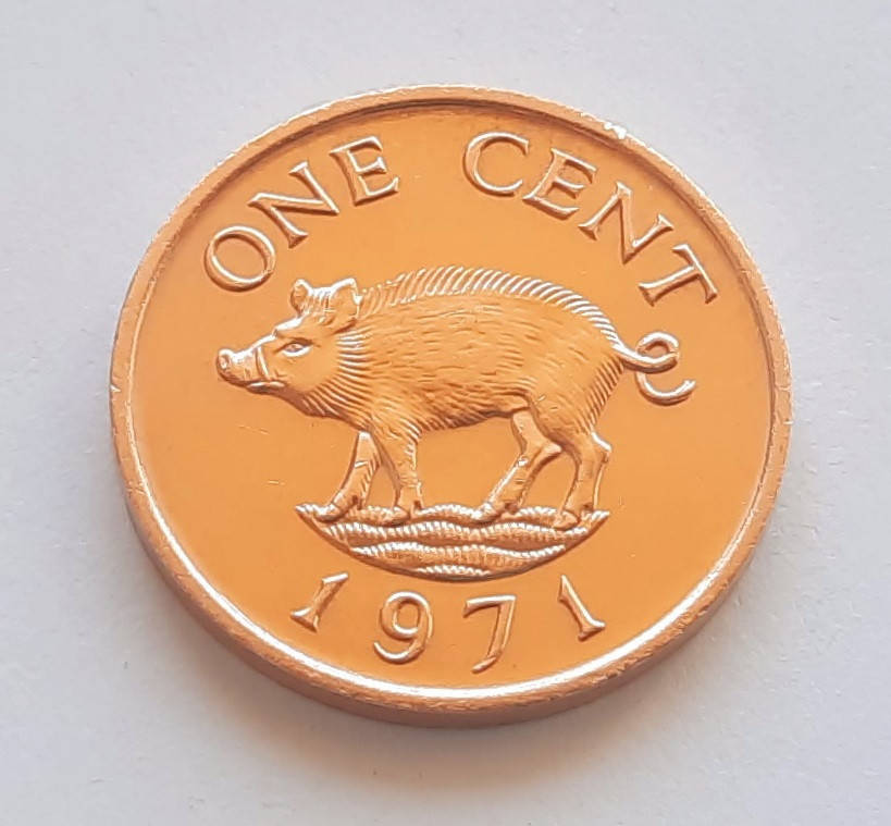 Бермуды 1 цент 1971
Бермуды 1 цент 1971