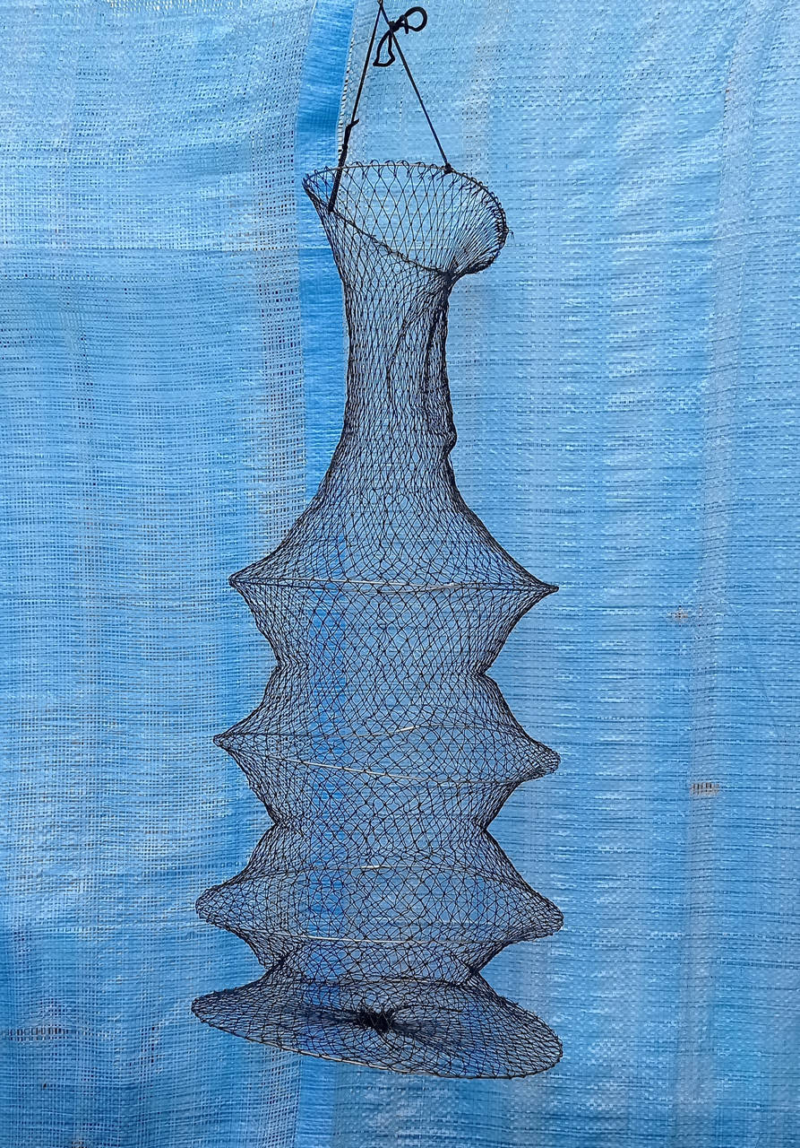 Садок рыболовный 4 кольца, складывается восьмеркой с чехлом. 4 
Садок рыболовный 4 кольца, складывается восьмеркой с чехлом. 4