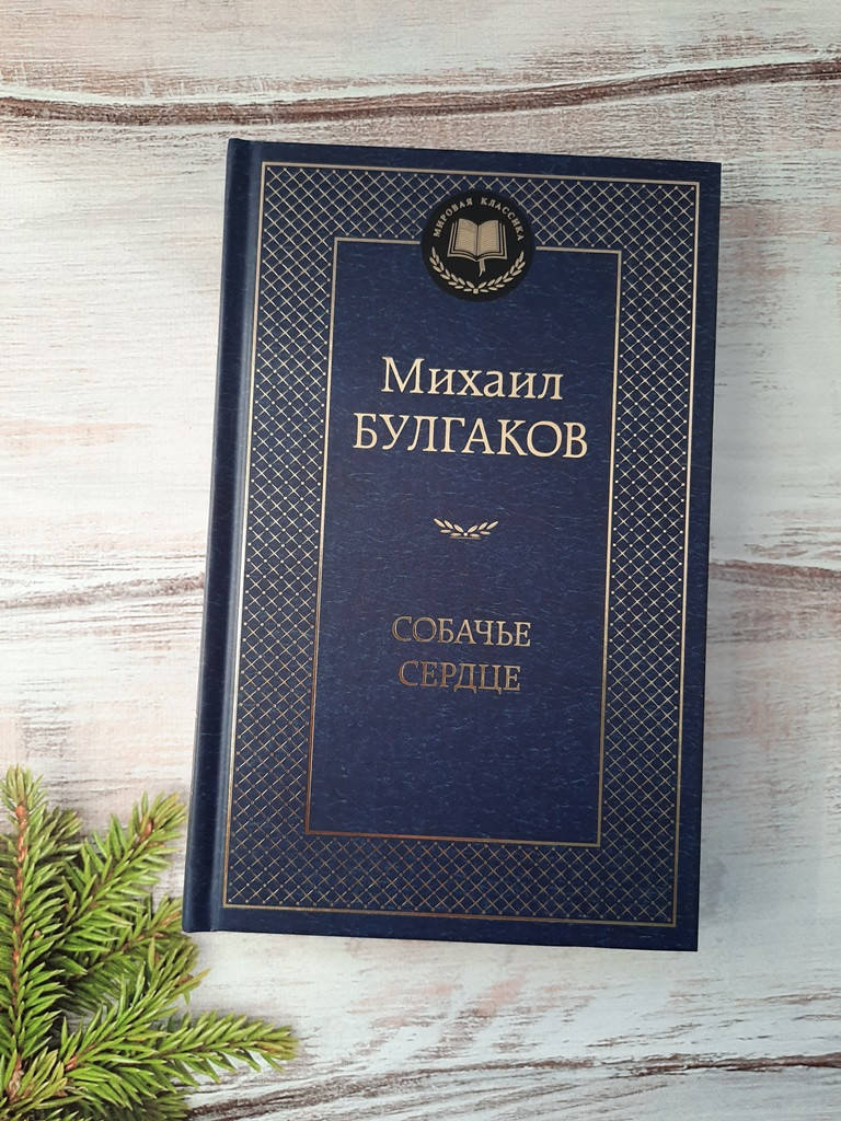 Булгаков Собачье сердце
Булгаков Собачье сердце
