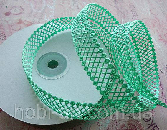 Тасьма деоративна "сіточка" 20мм № 12 м'ята
Тасьма деоративна "сіточка" 20мм № 12 м'ята