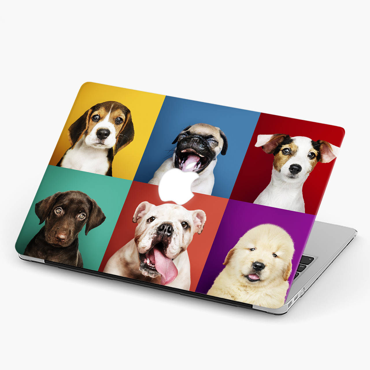 Чехол пластиковый для Apple MacBook Pro / Air Породы собак (Dog breeds) макбук про case hard cover
Чехол пластиковый для Apple MacBook Pro / Air Породы собак (Dog breeds) макбук про case hard cover
