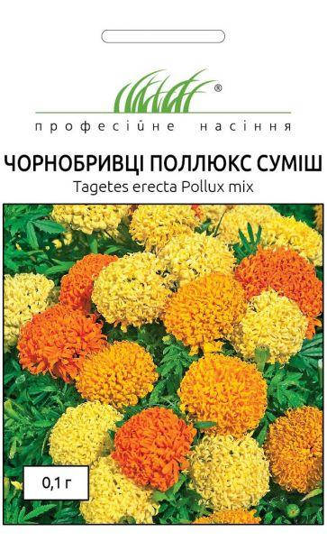 Бархатцы прямостоячие Поллюкс смесь, 0,1 г
Бархатцы прямостоячие Поллюкс смесь, 0,1 г