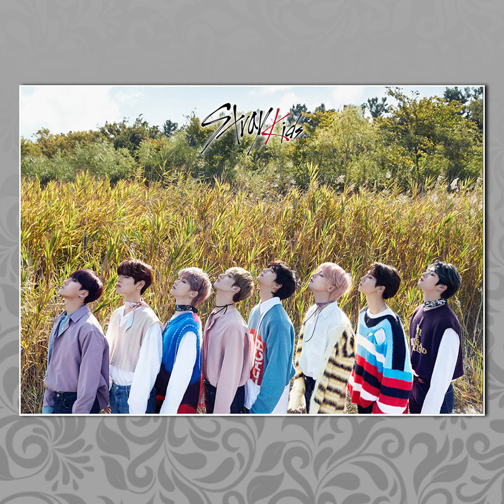 Плакат K-Pop Stray Kids 016 
Плакат K-Pop Stray Kids 016