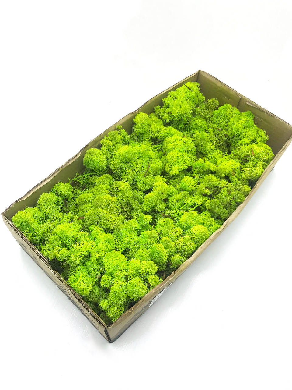 Стабилизированный норвежский мох высшего качества на солевой основе SO Green цвет светло-зеленый 0,5 кг (№55)
Стабилизированный норвежский мох высшего качества на солевой основе SO Green цвет светло-зеленый 0,5 кг (№55)
