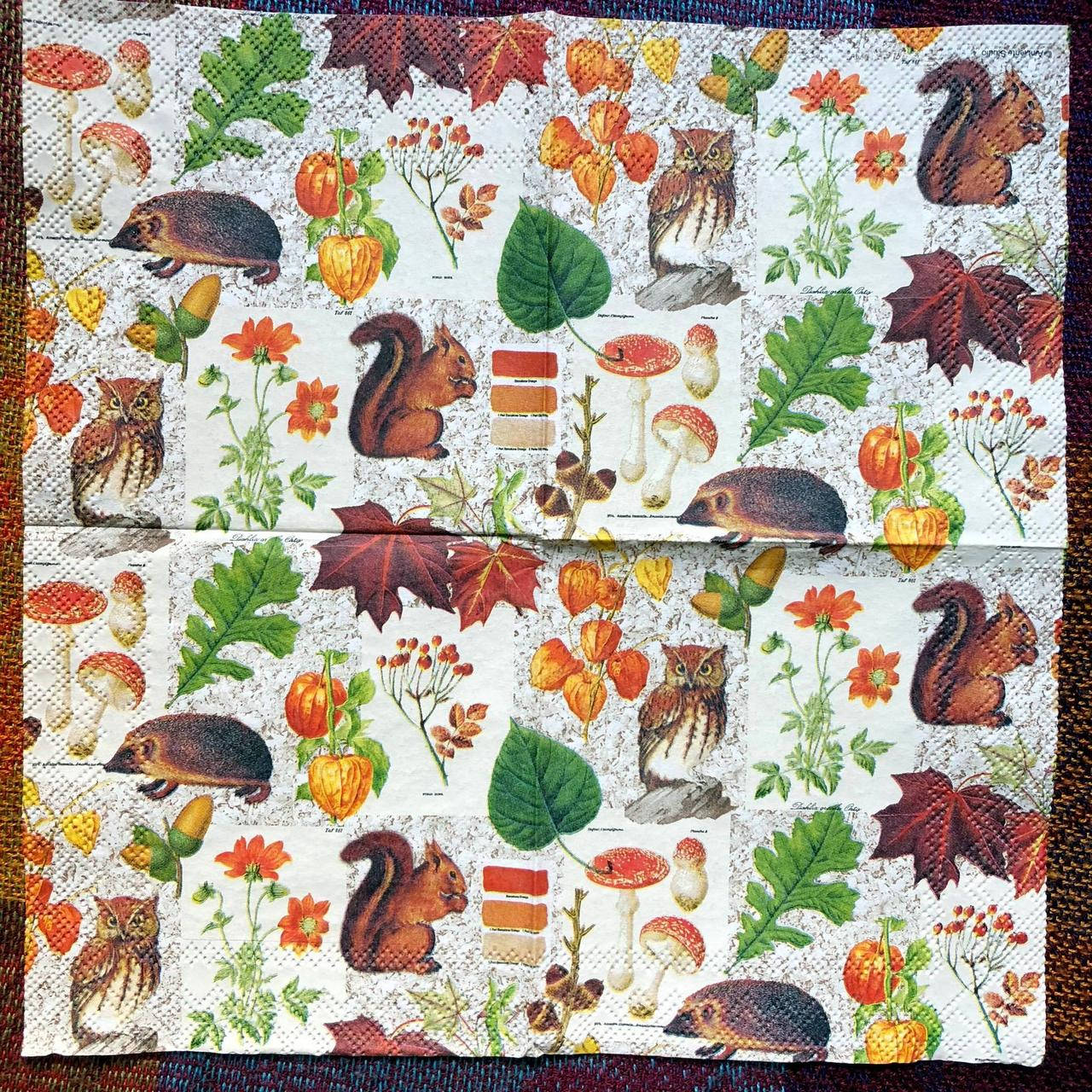 № 74 Салфетка для декупажа или сервировки стола "Лесные жители". 25х25
№ 74 Салфетка для декупажа или сервировки стола "Лесные жители". 25х25