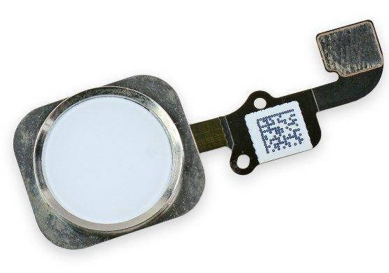 Шлейф iPhone 6 / iPhone 6 Plus c кнопкой Home Original Silver
Шлейф iPhone 6 / iPhone 6 Plus c кнопкой Home Original Silver