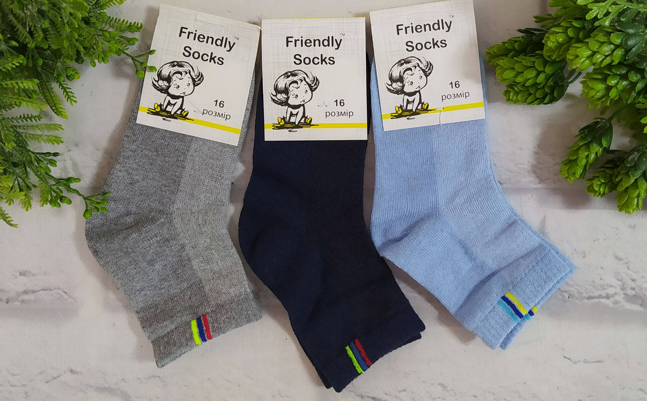 Детские носки р. 16 (24-26 раз обуви) за 1 пару сетка для мальчика Friendly Socks 3021016-001, Разные цвета
Детские носки р. 16 (24-26 раз обуви) за 1 пару сетка для мальчика Friendly Socks 3021016-001, Разные цвета