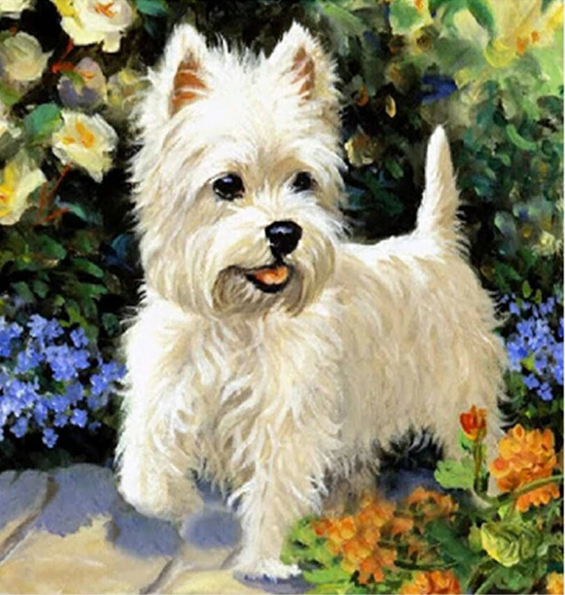 Алмазная вышивка (мозаика). Набор "Белый щенок". 30х30 см 
Алмазная вышивка (мозаика). Набор "Белый щенок". 30х30 см