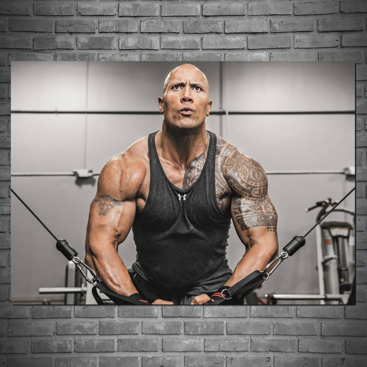 Плакат "Дуэйн Джонсон (Скала), Dwayne Johnson (The Rock)" (артикул 0047) 43, Матовая, 60
Плакат "Дуэйн Джонсон (Скала), Dwayne Johnson (The Rock)" (артикул 0047) 43, Матовая, 60