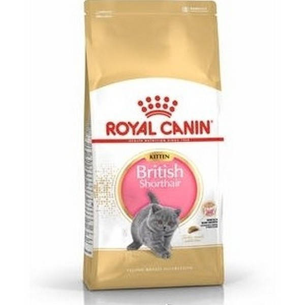 Royal Canin (Роял Канин) British Shorthair Kitten сухой корм для котят британскаой короткошерстной 2 кг
Royal Canin (Роял Канин) British Shorthair Kitten сухой корм для котят британскаой короткошерстной 2 кг