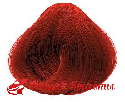 Крем-краска для волос 7.44 Острый красный перец Color-Cream Sintesis Black Professional, 100 мл
Крем-краска для волос 7.44 Острый красный перец Color-Cream Sintesis Black Professional, 100 мл