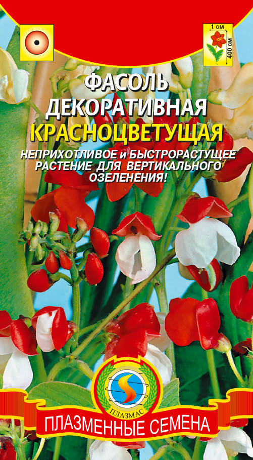 Фасоль декоративная «Красноцветущая» 4 шт (Плазменные семена)
Фасоль декоративная «Красноцветущая» 4 шт (Плазменные семена)