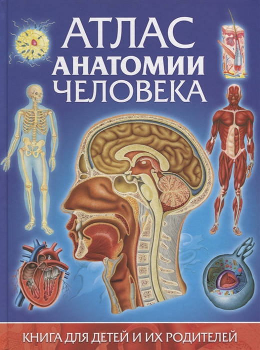 Атлас анатомии человека. Книга для детей и их родителей. Винченцо Гуиди (Твердый переплет)
Атлас анатомии человека. Книга для детей и их родителей. Винченцо Гуиди (Твердый переплет)