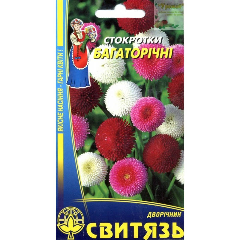 Семена цветы Маргаритка многолетняя, 0,1 г 
Семена цветы Маргаритка многолетняя, 0,1 г