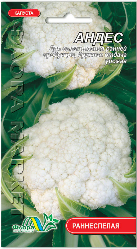 Семена капуста цветная Андес Флора маркет 0,15 г.
Семена капуста цветная Андес Флора маркет 0,15 г.