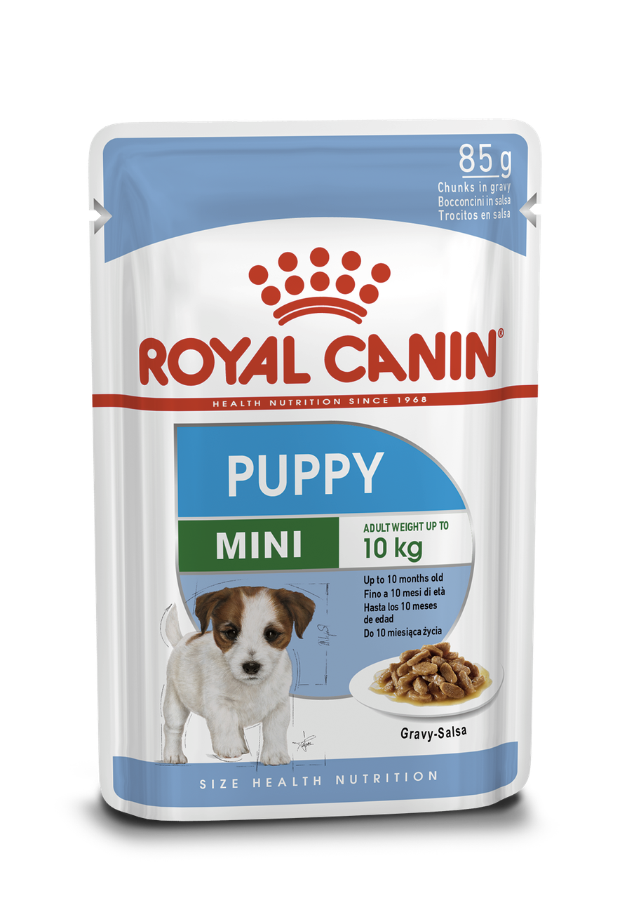 Royal Canin Mini Puppy 0,085кг - влажный корм для щенков мелких пород собак от 2-х до 10 месяцев
Royal Canin Mini Puppy 0,085кг - влажный корм для щенков мелких пород собак от 2-х до 10 месяцев