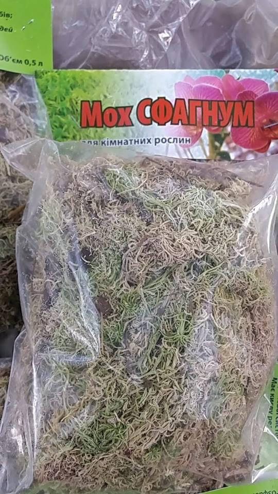 Мох сфагнум 0.5л
Мох сфагнум 0.5л