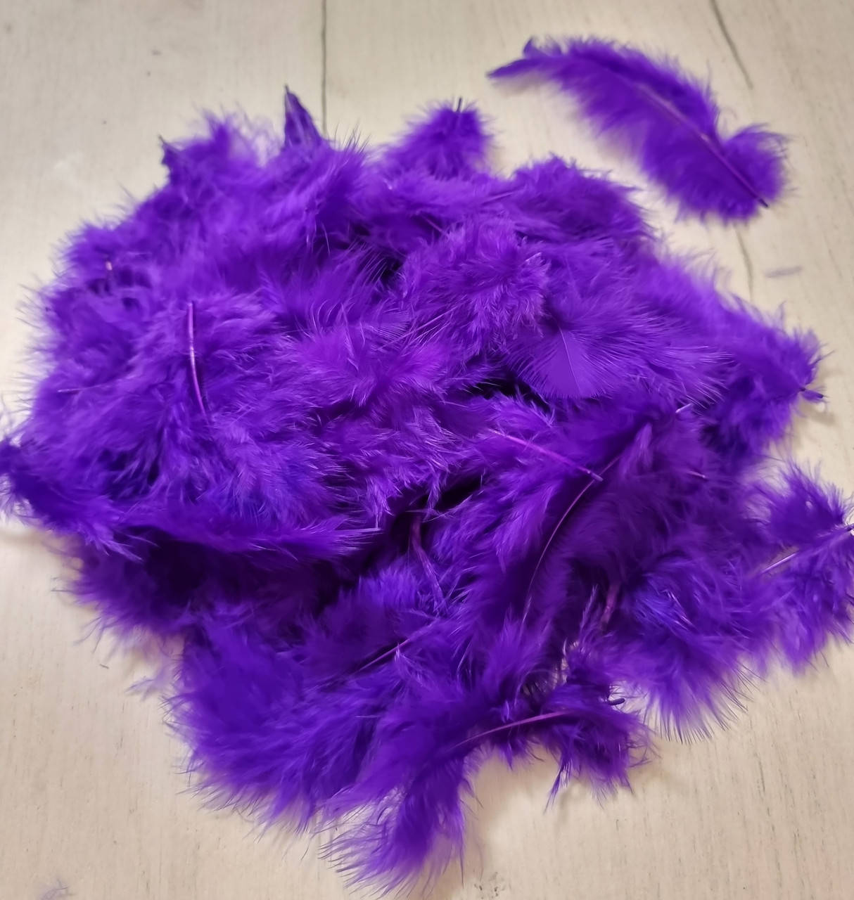 Перья фиолетовые, Разные цвета
Перья фиолетовые, Разные цвета