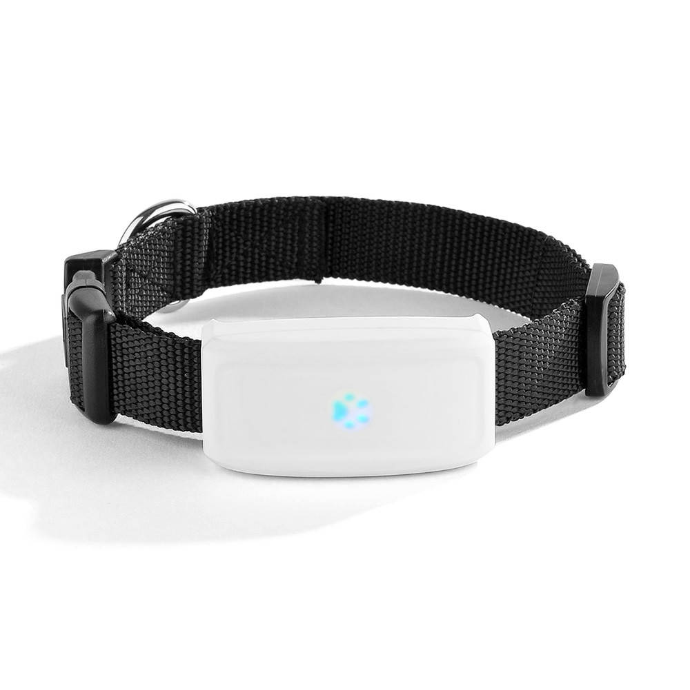 Умный ошейник TKSTAR TK911 с GPS трекером, влагозащитой для собак, кошек и других животных
Умный ошейник TKSTAR TK911 с GPS трекером, влагозащитой для собак, кошек и других животных