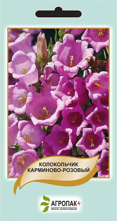 Семена цветов Колокольчик карминово-розовый 0,1г. Агропак плюс 
Семена цветов Колокольчик карминово-розовый 0,1г. Агропак плюс