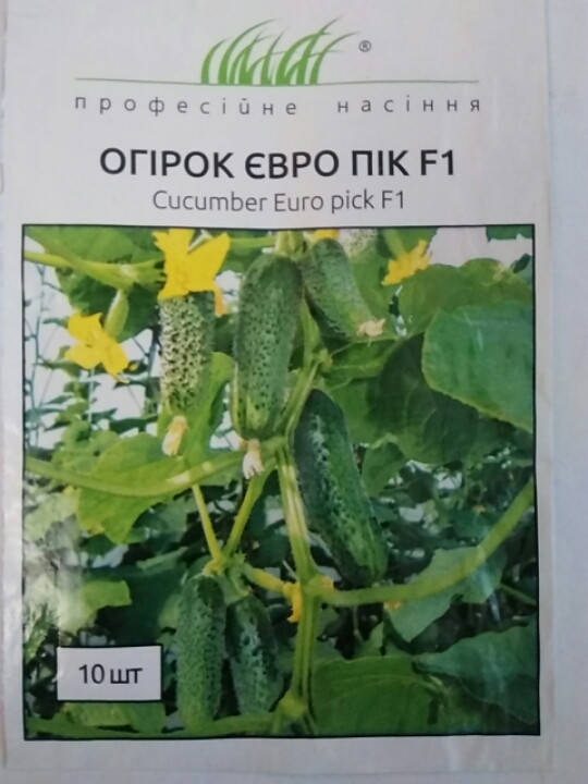 Семена Огурец самоопыляемый Евро Пик F1, 10 семян United Genetics 
Семена Огурец самоопыляемый Евро Пик F1, 10 семян United Genetics