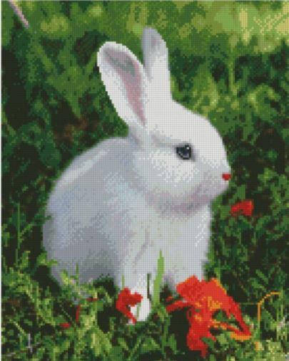 Алмазная вышивка мозаика на подрамнике Белый зайка 40/50
Алмазная вышивка мозаика на подрамнике Белый зайка 40/50