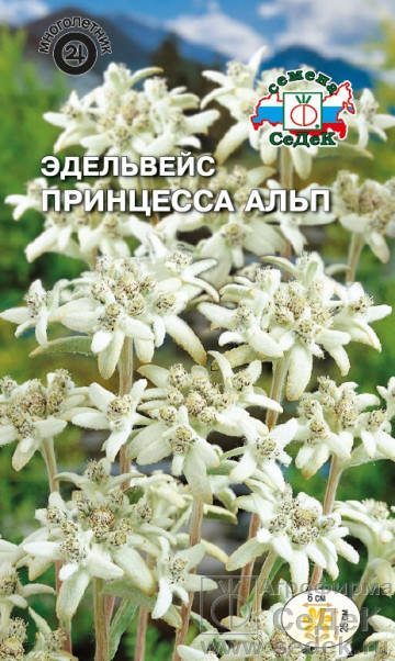 Семена Эдельвейс альпийский Принцесса Альп 0,01 грамма Седек, Белый
Семена Эдельвейс альпийский Принцесса Альп 0,01 грамма Седек, Белый