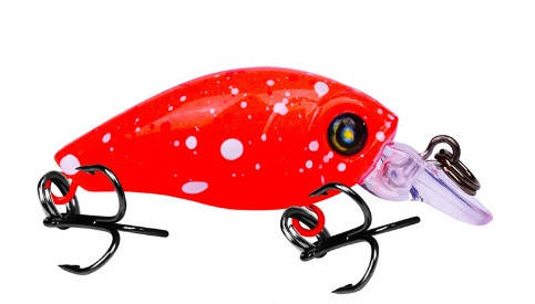 Воблер Fishing Chubby 
Воблер Fishing Chubby