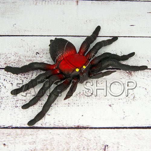 Павук резиновий на Хелловін, середній, Паук резиновый на хэллоуин
Павук резиновий на Хелловін, середній, Паук резиновый на хэллоуин