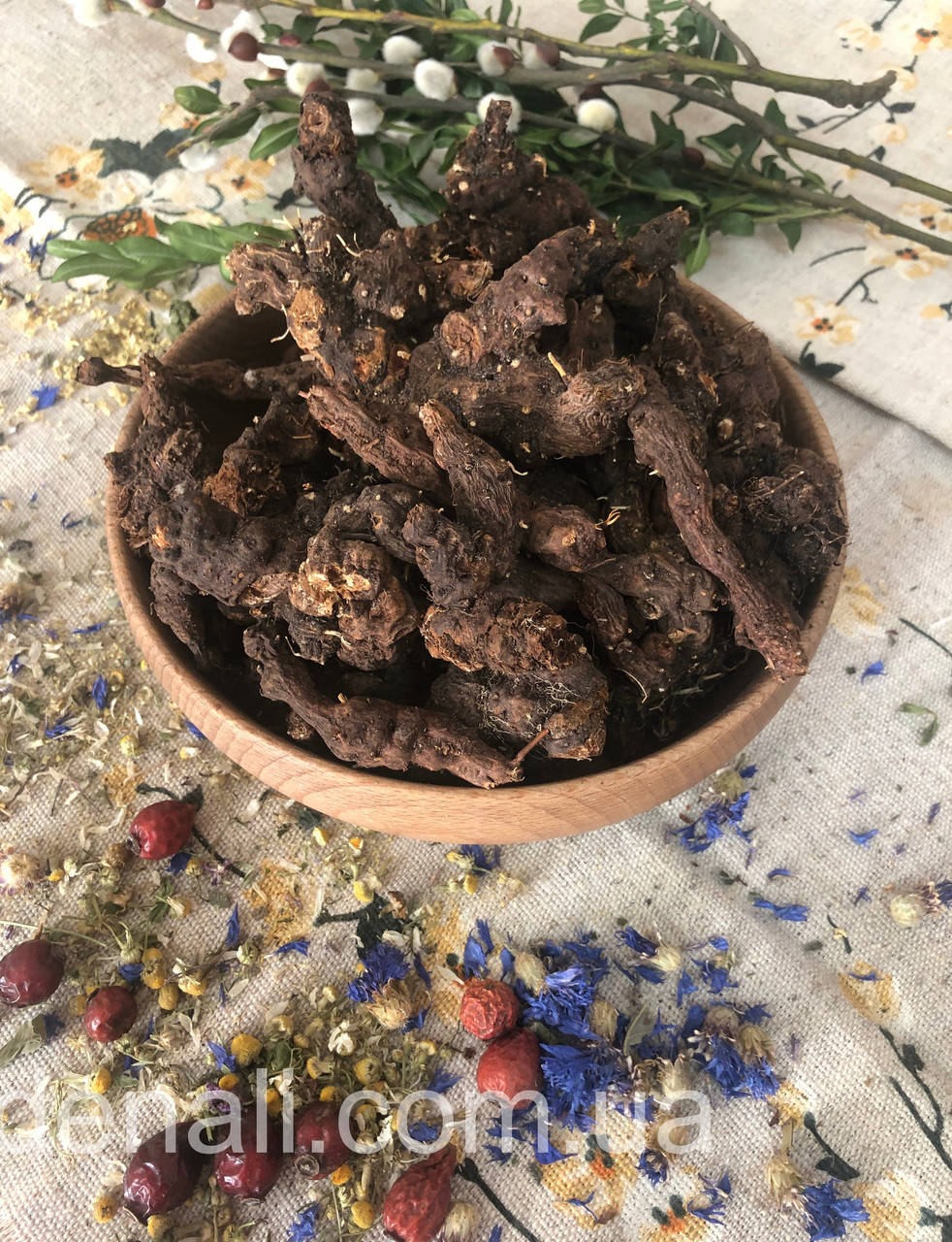 Калган корень перстач (Tormentillae radix) 
Калган корень перстач (Tormentillae radix)